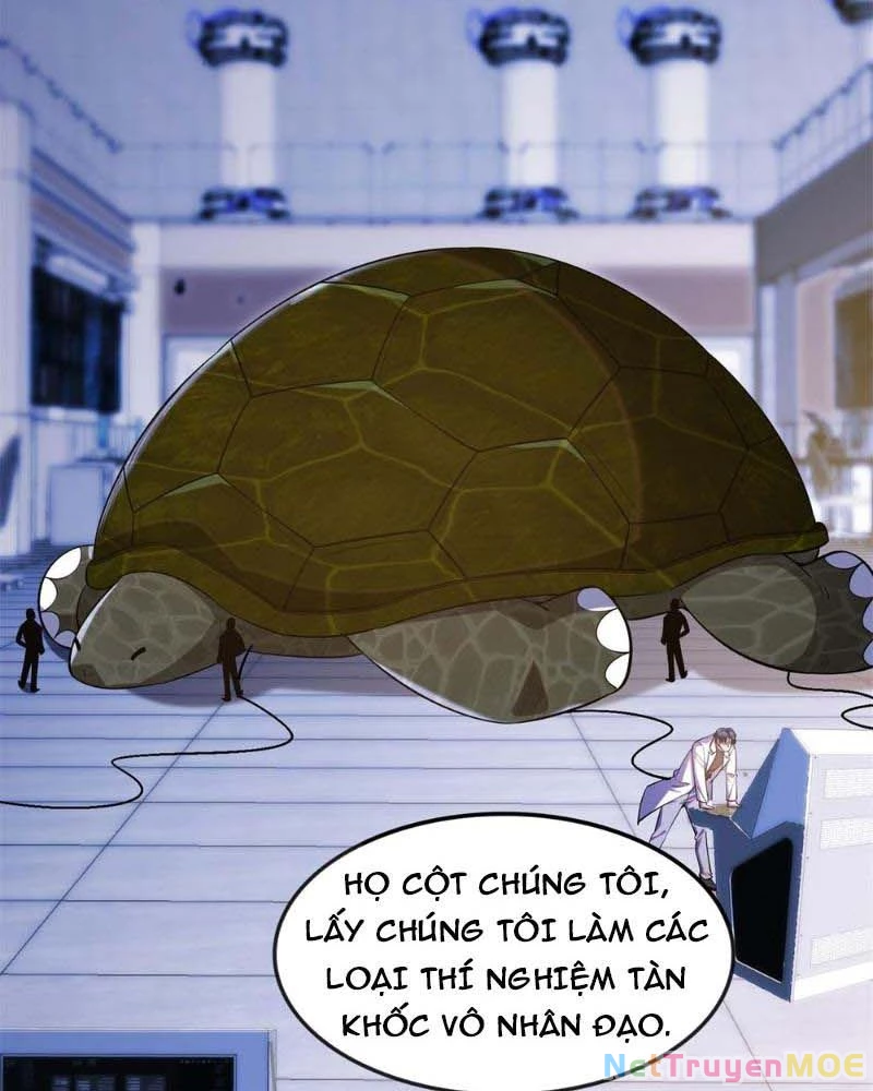 Huyễn Thú Của Ta Có Thể Tiến Hóa Vô Hạn Chapter 12 - Trang 3