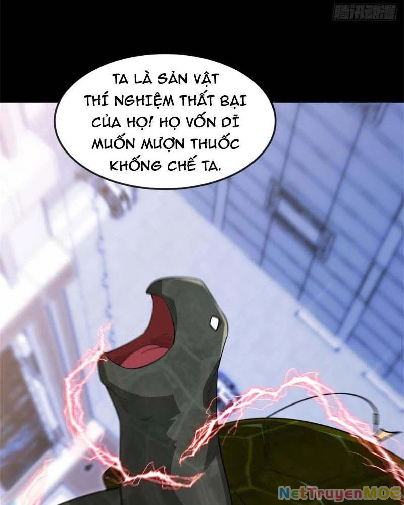 Huyễn Thú Của Ta Có Thể Tiến Hóa Vô Hạn Chapter 12 - Trang 3