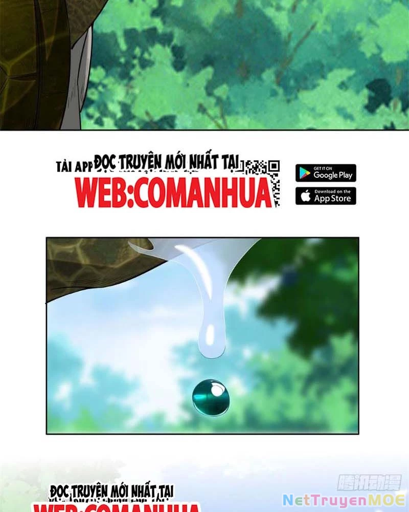 Huyễn Thú Của Ta Có Thể Tiến Hóa Vô Hạn Chapter 12 - Trang 3