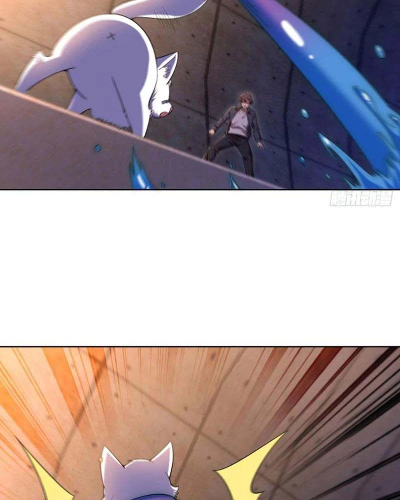 Huyễn Thú Của Ta Có Thể Tiến Hóa Vô Hạn Chapter 13 - Trang 3