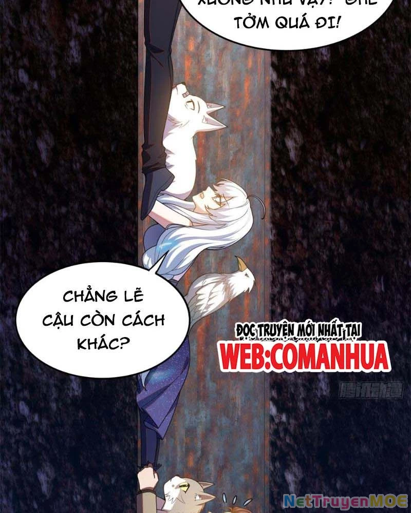 Huyễn Thú Của Ta Có Thể Tiến Hóa Vô Hạn Chapter 14 - Trang 3