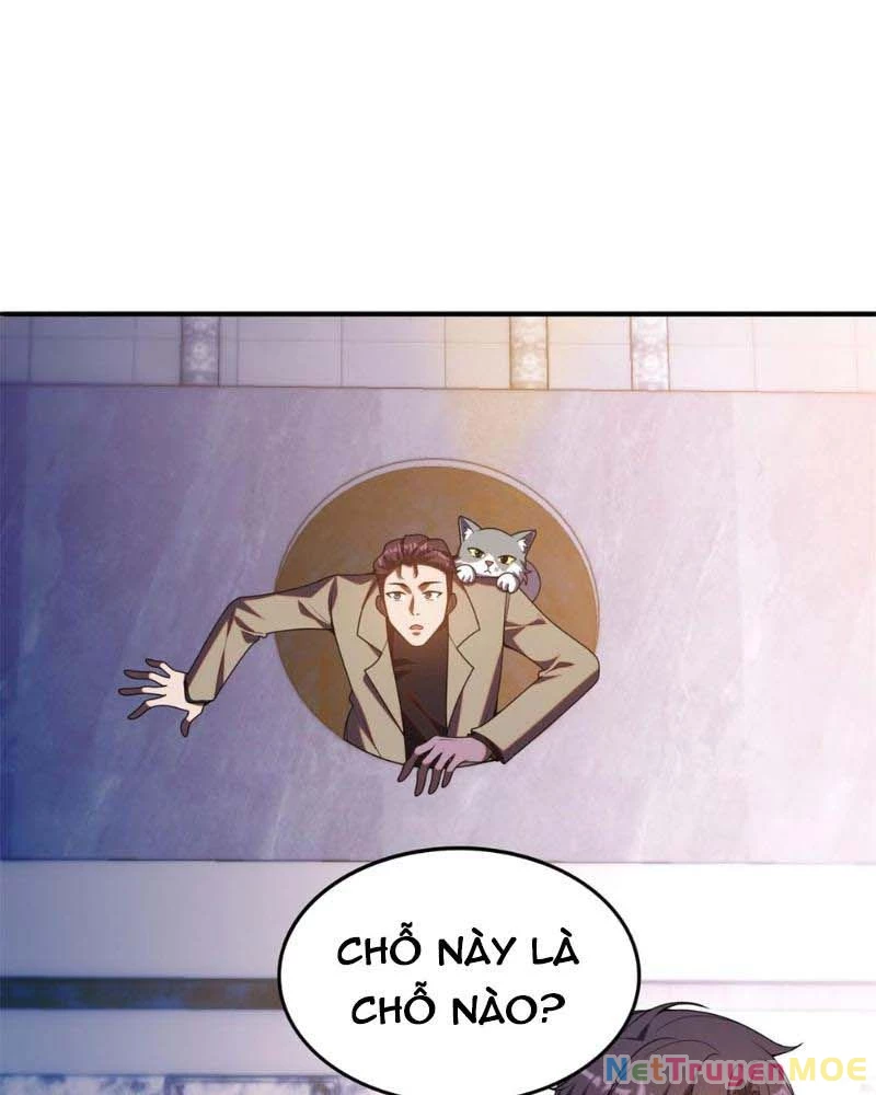 Huyễn Thú Của Ta Có Thể Tiến Hóa Vô Hạn Chapter 14 - Trang 3