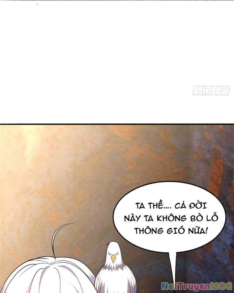 Huyễn Thú Của Ta Có Thể Tiến Hóa Vô Hạn Chapter 14 - Trang 3