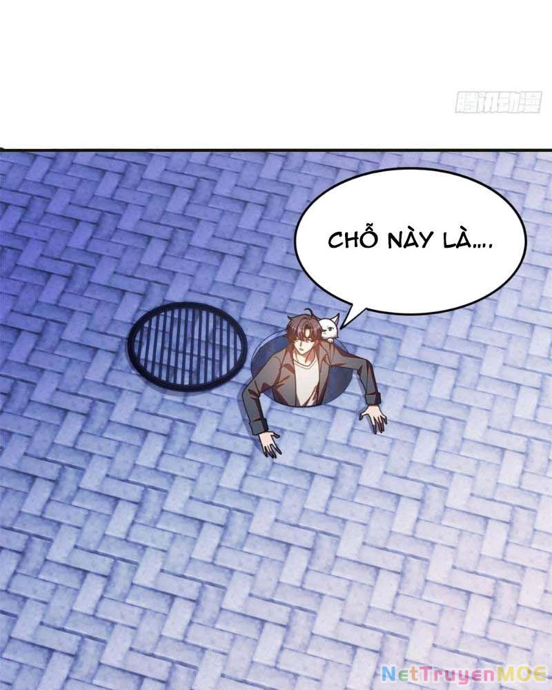 Huyễn Thú Của Ta Có Thể Tiến Hóa Vô Hạn Chapter 14 - Trang 3