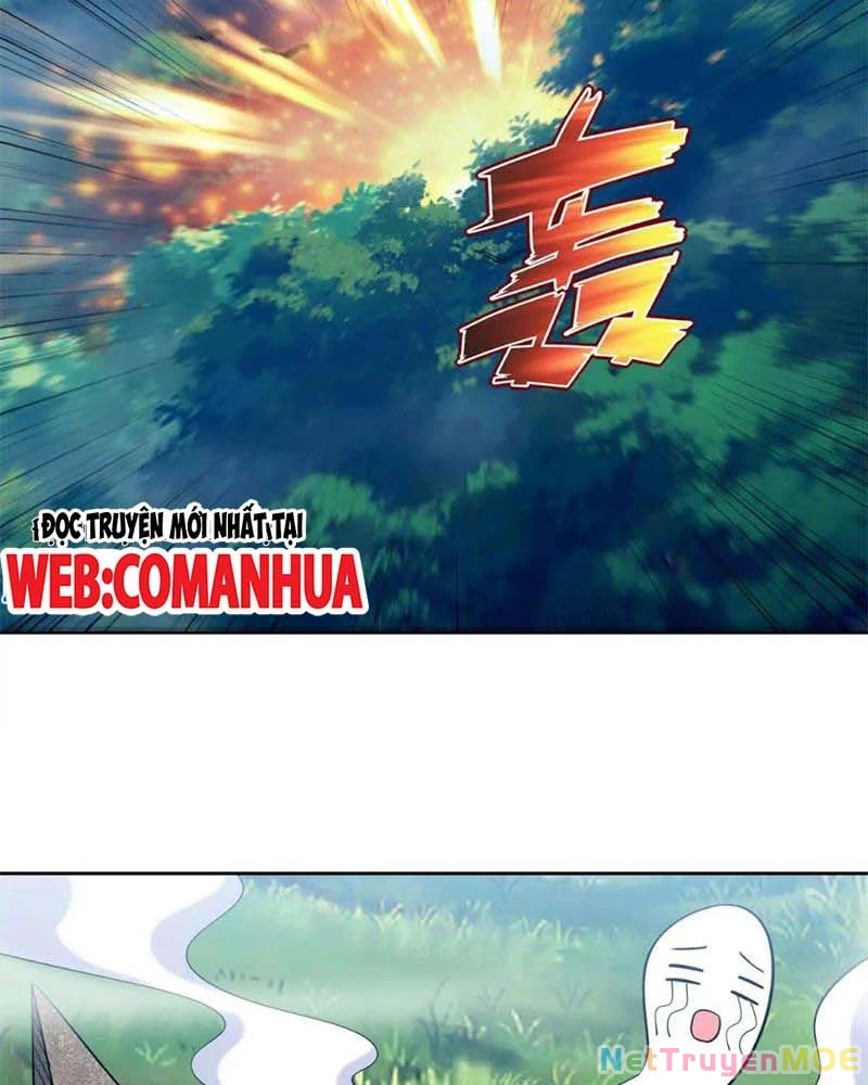 Huyễn Thú Của Ta Có Thể Tiến Hóa Vô Hạn Chapter 16 - Trang 3