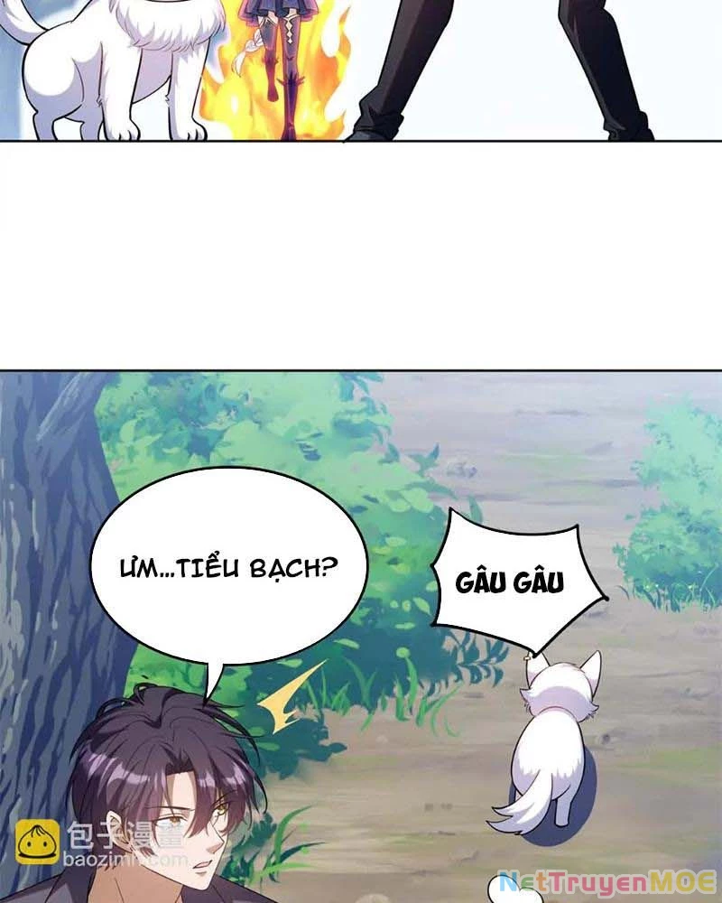 Huyễn Thú Của Ta Có Thể Tiến Hóa Vô Hạn Chapter 16 - Trang 3
