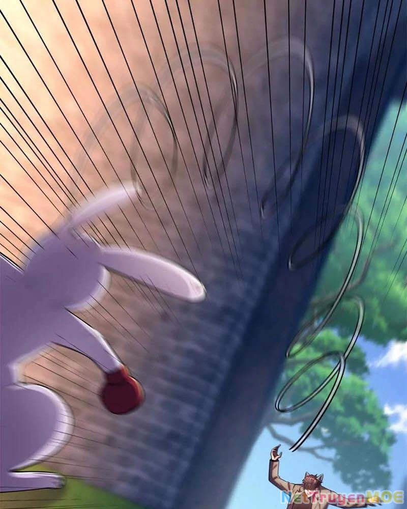 Huyễn Thú Của Ta Có Thể Tiến Hóa Vô Hạn Chapter 17 - Trang 3