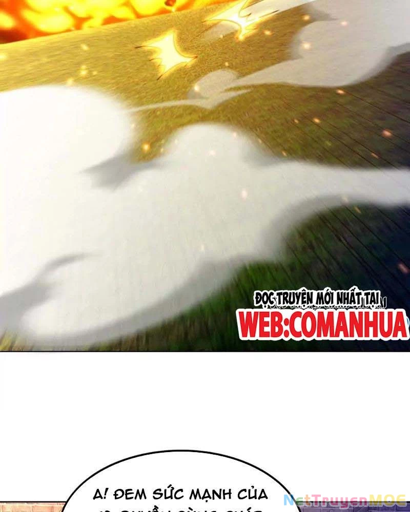 Huyễn Thú Của Ta Có Thể Tiến Hóa Vô Hạn Chapter 17 - Trang 3