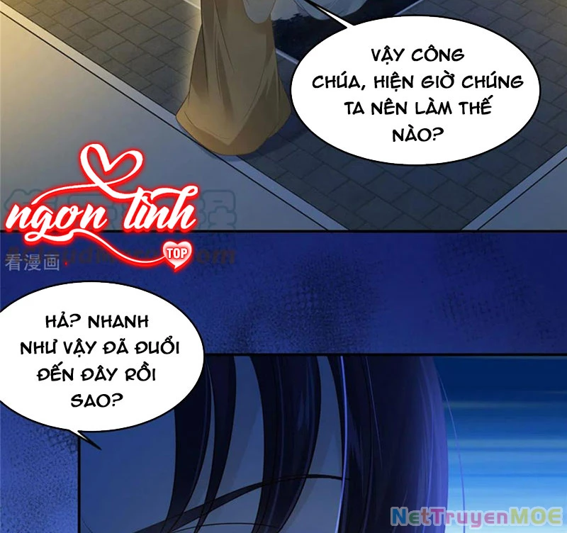 Tà Vương Phúc Hắc Sủng Nhập Cốt Chapter 215 - Trang 3