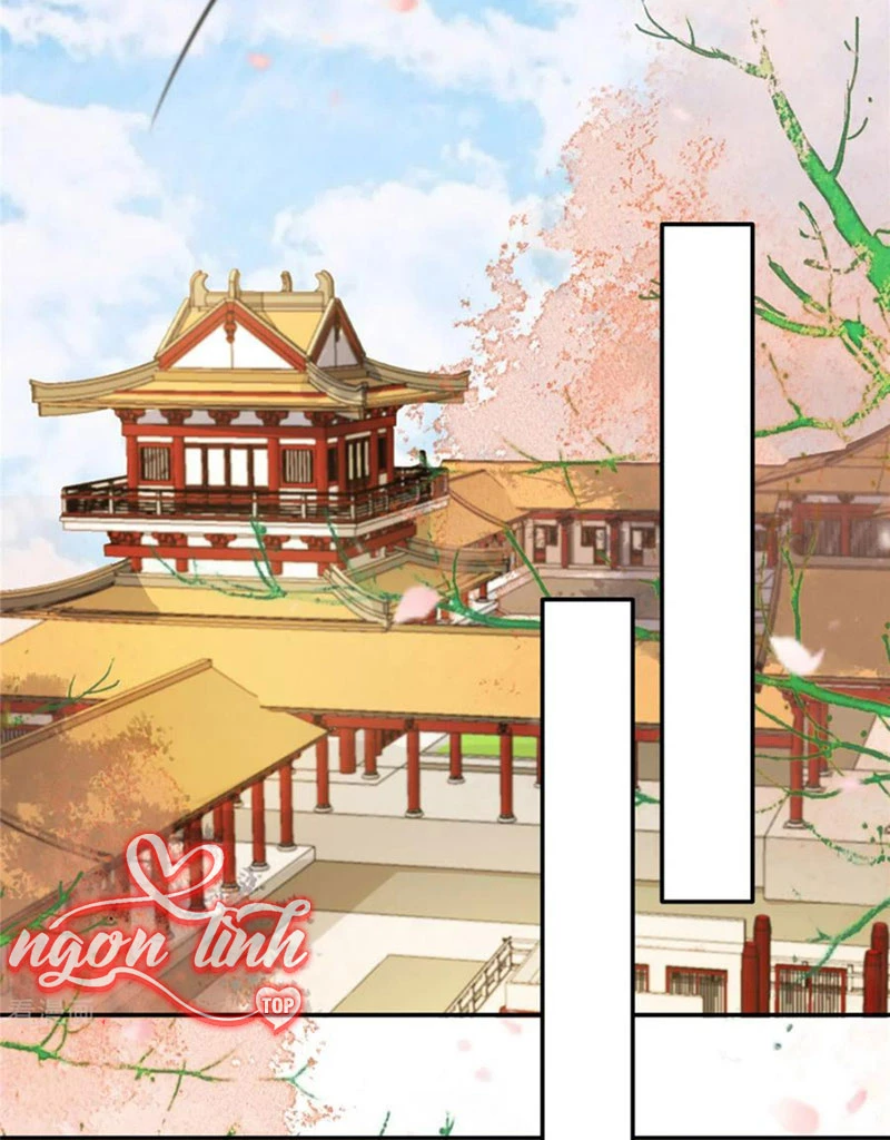 Tà Vương Phúc Hắc Sủng Nhập Cốt Chapter 219 - Trang 3