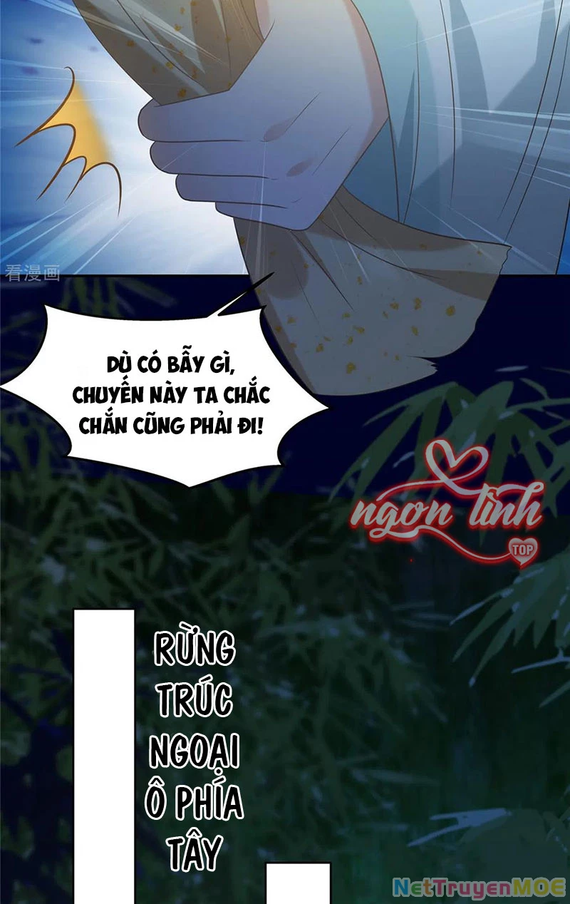 Tà Vương Phúc Hắc Sủng Nhập Cốt Chapter 222 - Trang 3