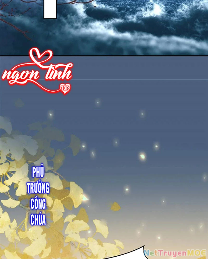 Tà Vương Phúc Hắc Sủng Nhập Cốt Chapter 225 - Trang 3