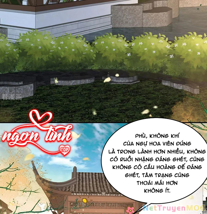 Tà Vương Phúc Hắc Sủng Nhập Cốt Chapter 238 - Trang 3