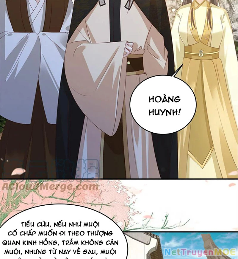 Tà Vương Phúc Hắc Sủng Nhập Cốt Chapter 240 - Trang 3