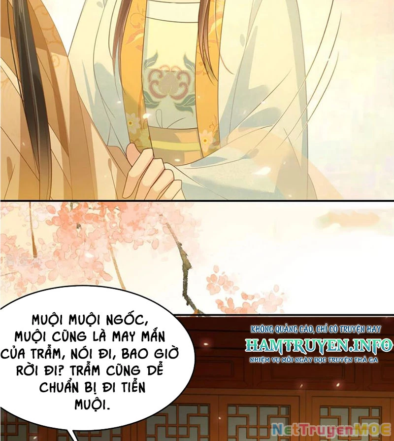 Tà Vương Phúc Hắc Sủng Nhập Cốt Chapter 241 - Trang 3