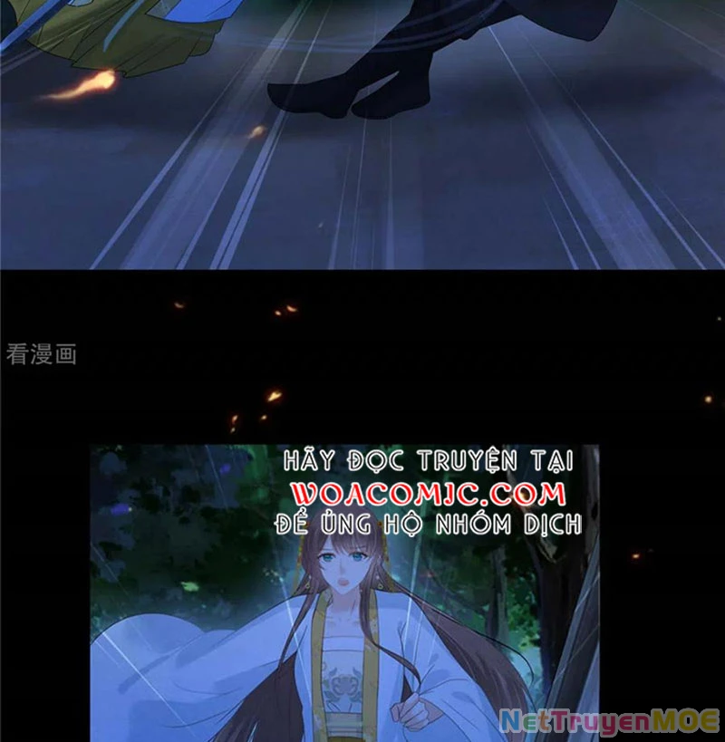 Tà Vương Phúc Hắc Sủng Nhập Cốt Chapter 247 - Trang 3
