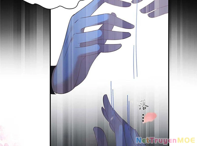 Tà Vương Phúc Hắc Sủng Nhập Cốt Chapter 247 - Trang 3