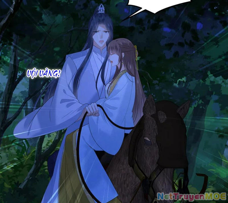 Tà Vương Phúc Hắc Sủng Nhập Cốt Chapter 248 - Trang 4