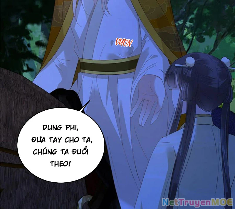 Tà Vương Phúc Hắc Sủng Nhập Cốt Chapter 248 - Trang 4