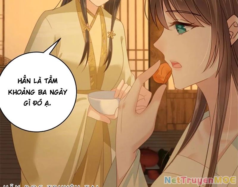 Tà Vương Phúc Hắc Sủng Nhập Cốt Chapter 250 - Trang 3