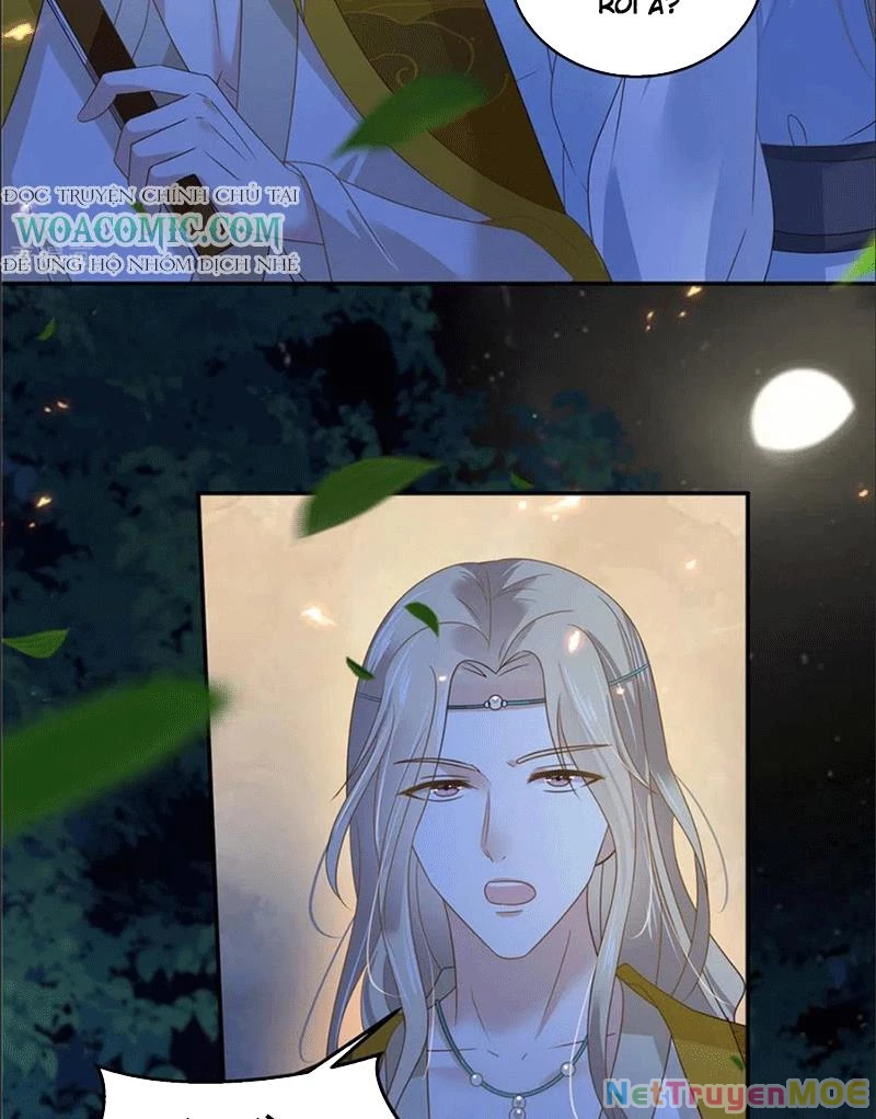 Tà Vương Phúc Hắc Sủng Nhập Cốt Chapter 252 - Trang 3