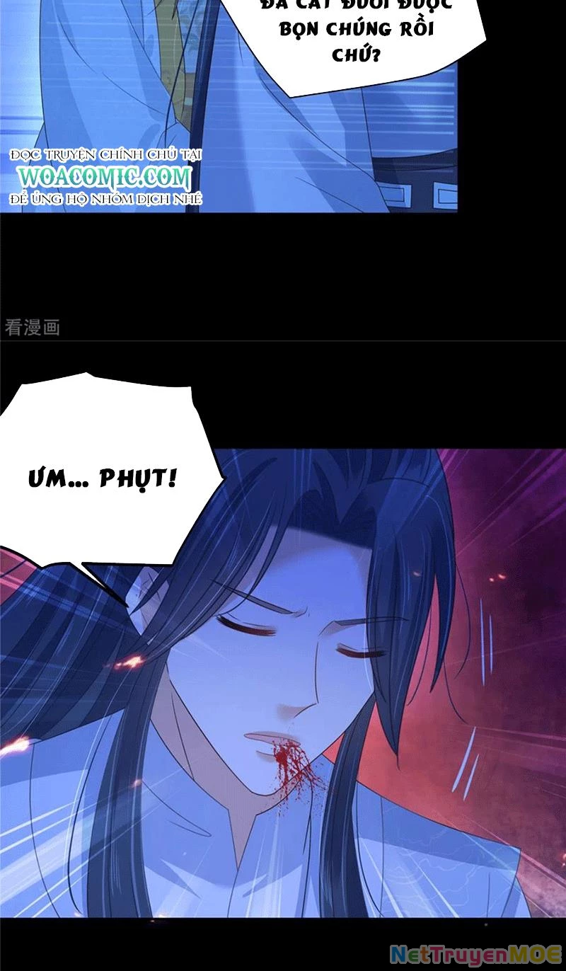 Tà Vương Phúc Hắc Sủng Nhập Cốt Chapter 253 - Trang 3