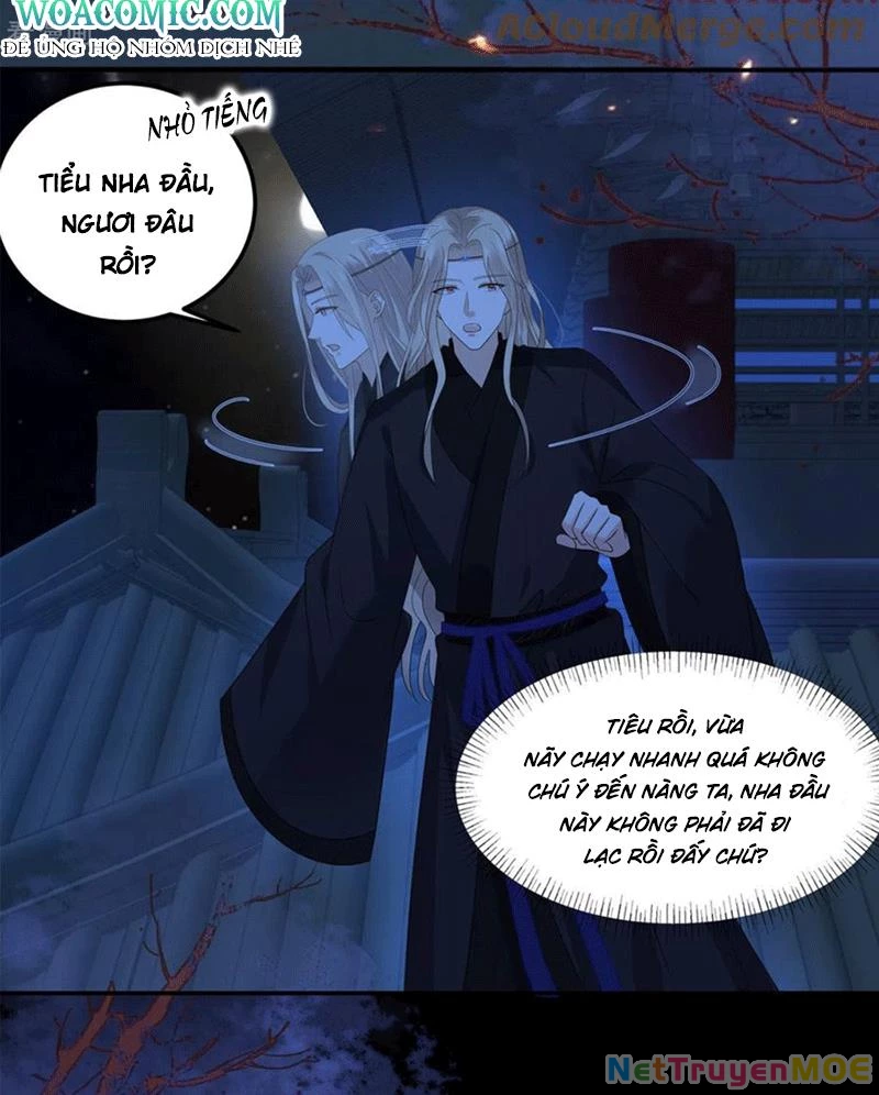 Tà Vương Phúc Hắc Sủng Nhập Cốt Chapter 254 - Trang 3