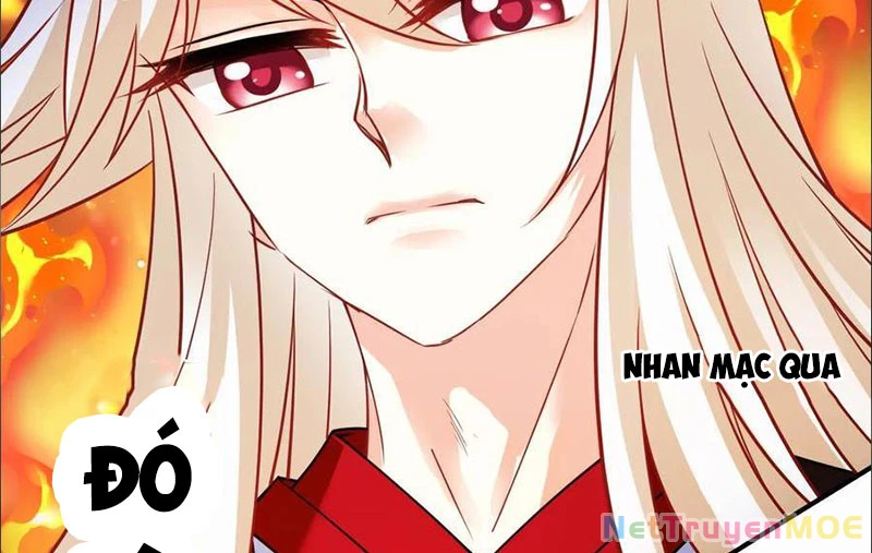 Phong Khởi Thương Lam Chapter 690 - Trang 4
