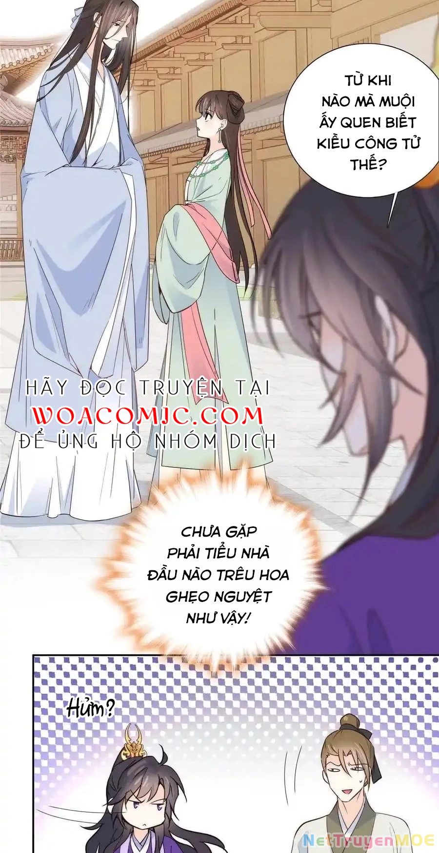 Thiều Quang Mạn Chapter 144 - Trang 3