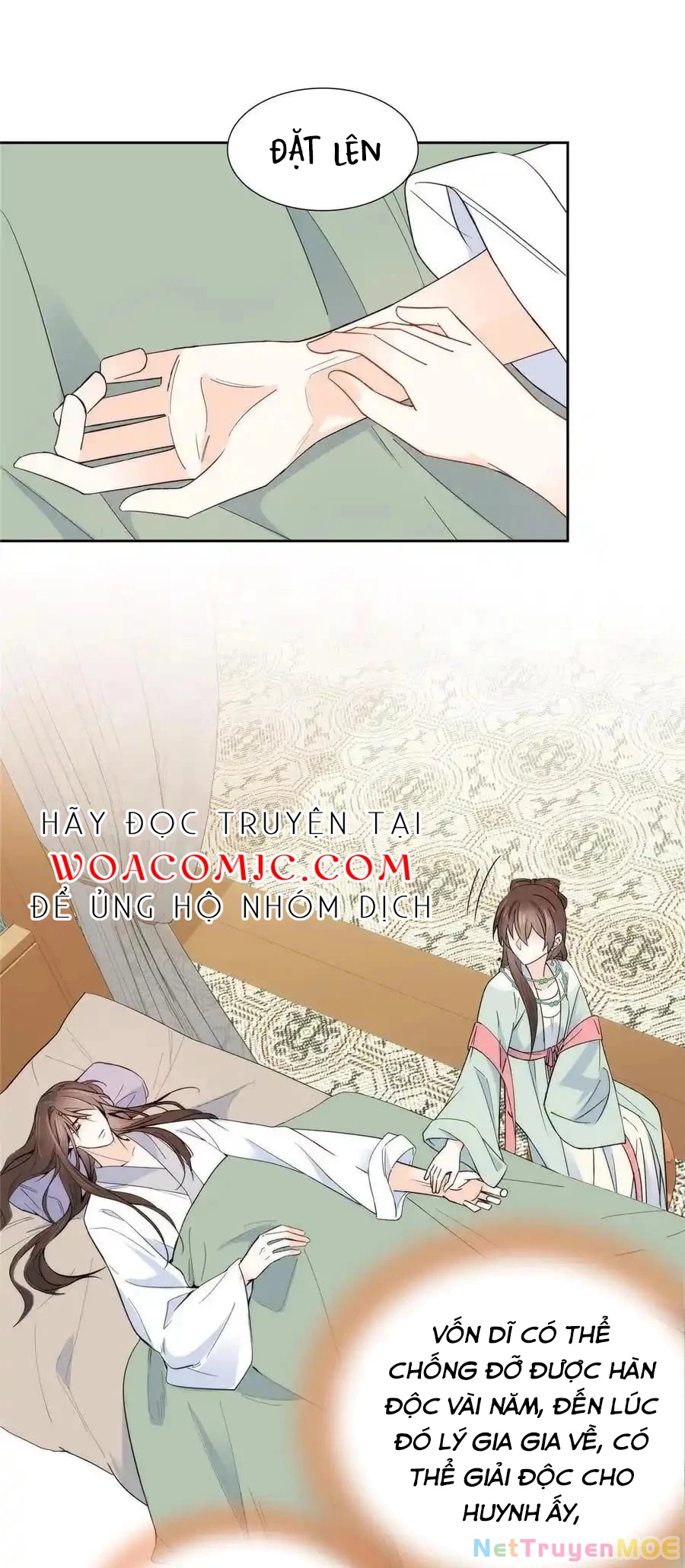 Thiều Quang Mạn Chapter 144 - Trang 3