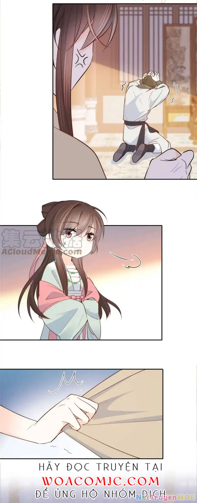 Thiều Quang Mạn Chapter 145 - Trang 3