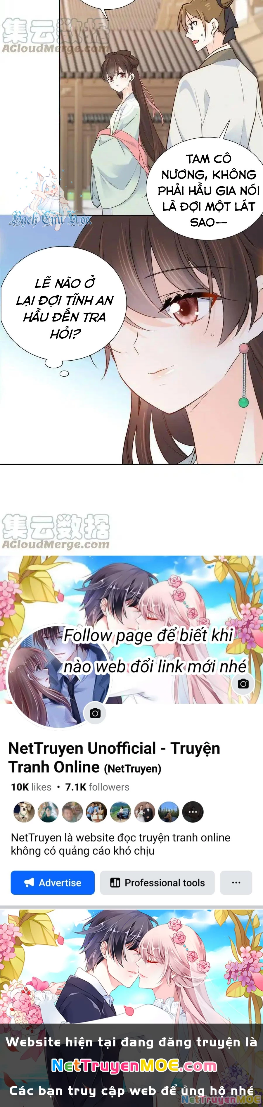 Thiều Quang Mạn Chapter 148 - Trang 4