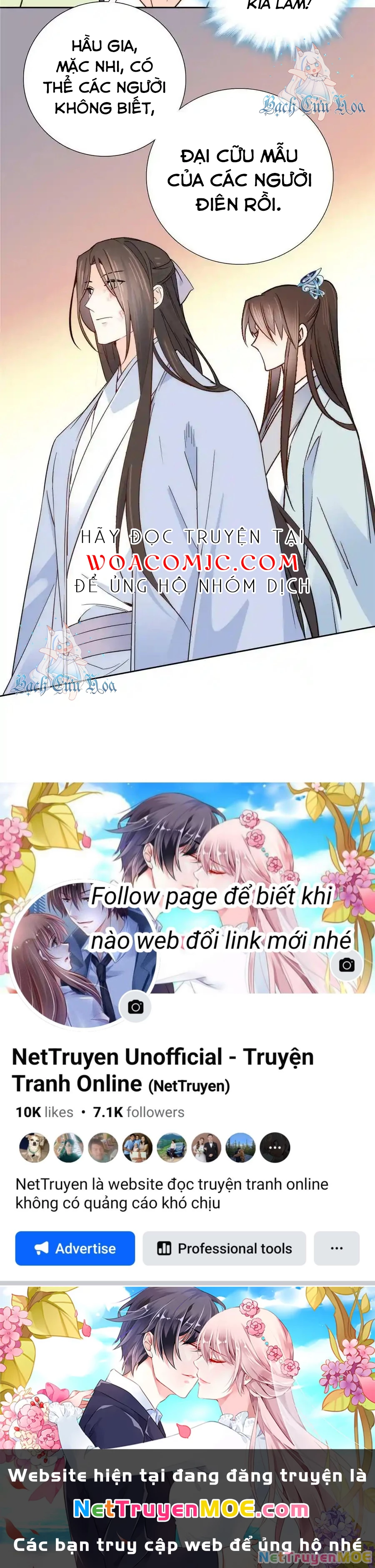 Thiều Quang Mạn Chapter 152 - Trang 4