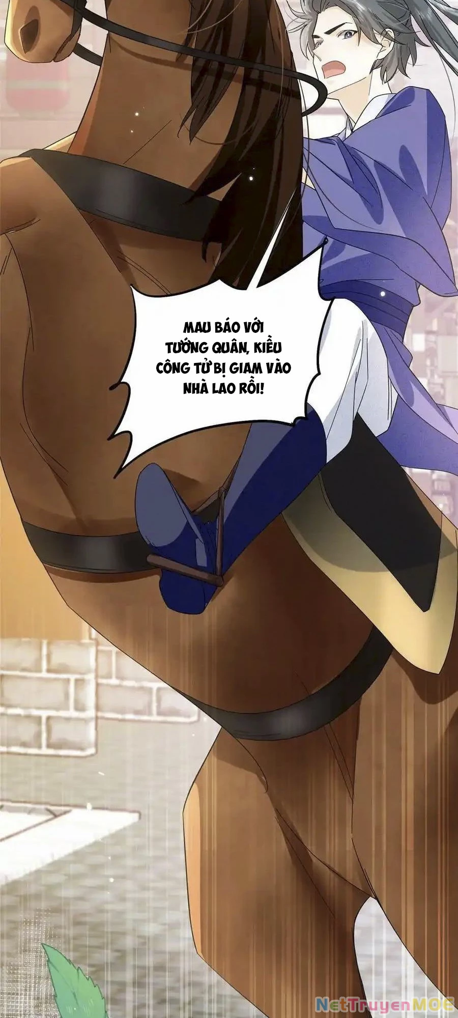 Thiều Quang Mạn Chapter 157 - Trang 4