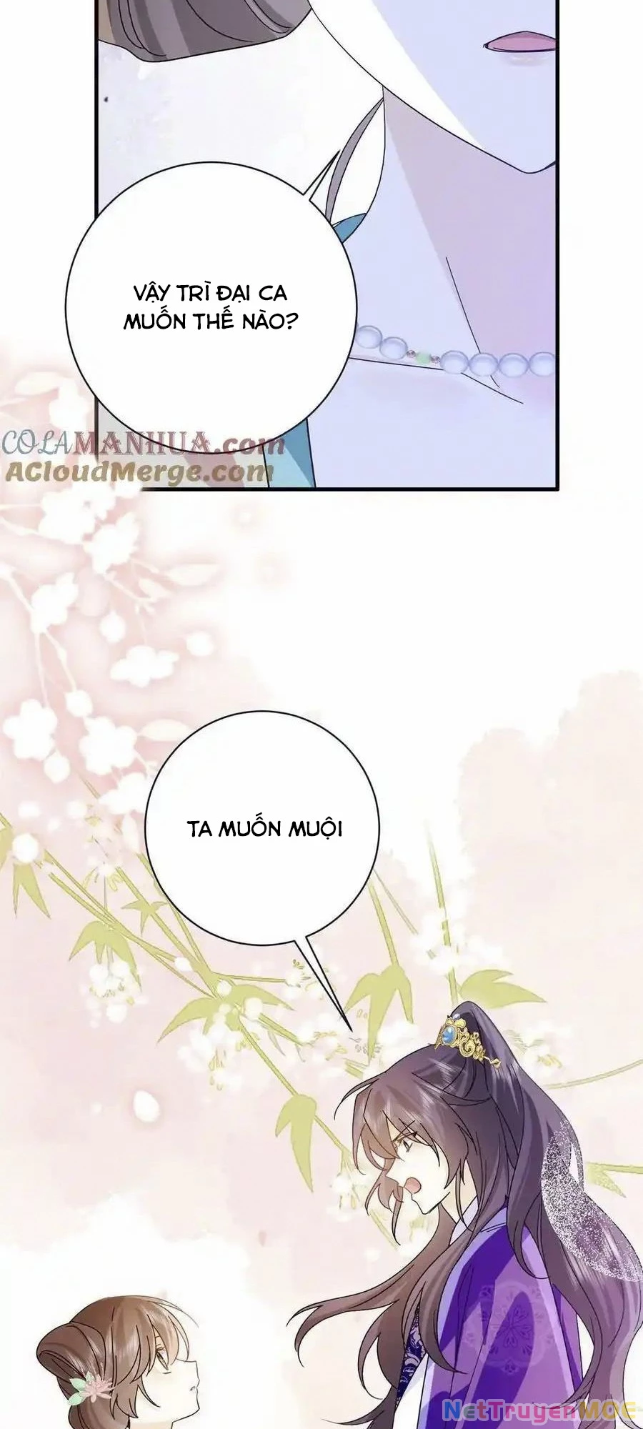 Thiều Quang Mạn Chapter 157 - Trang 4