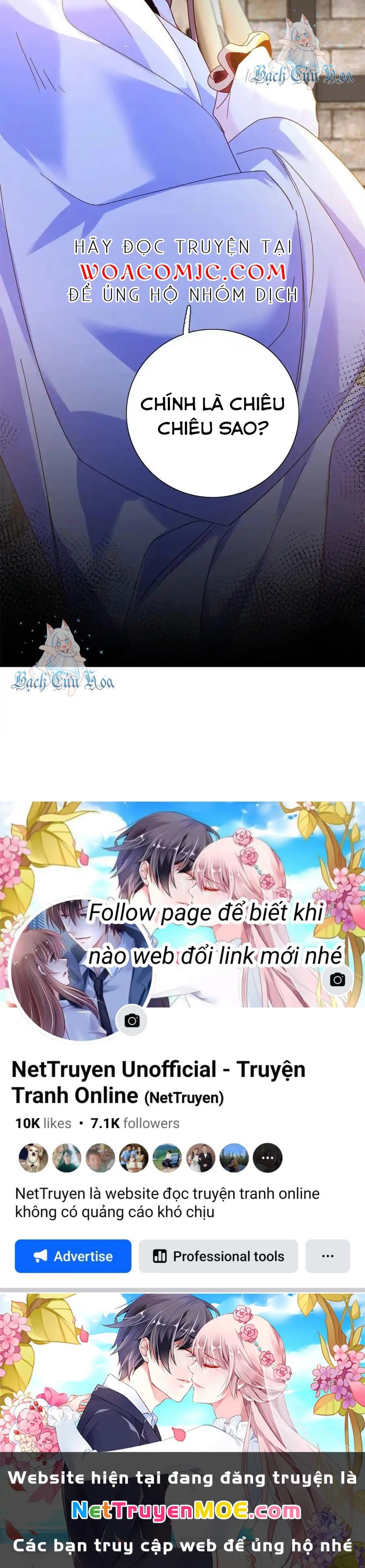 Thiều Quang Mạn Chapter 158 - Trang 4