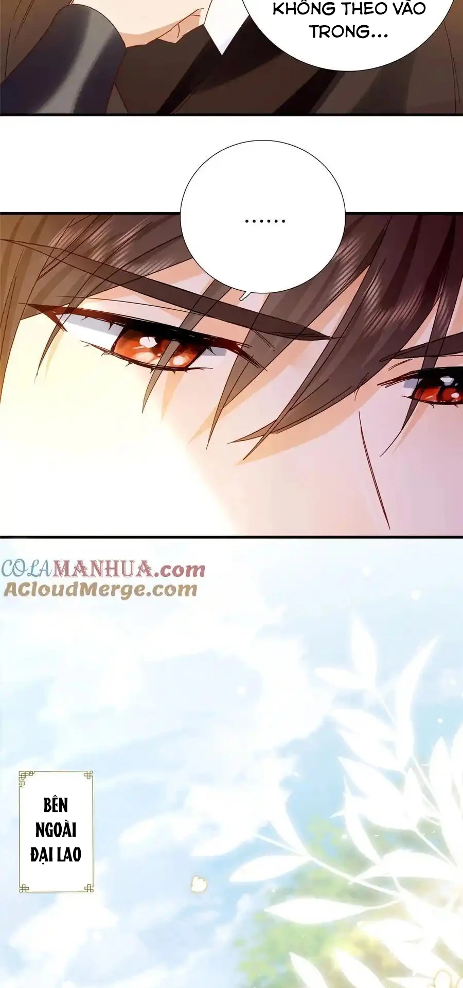 Thiều Quang Mạn Chapter 160 - Trang 4