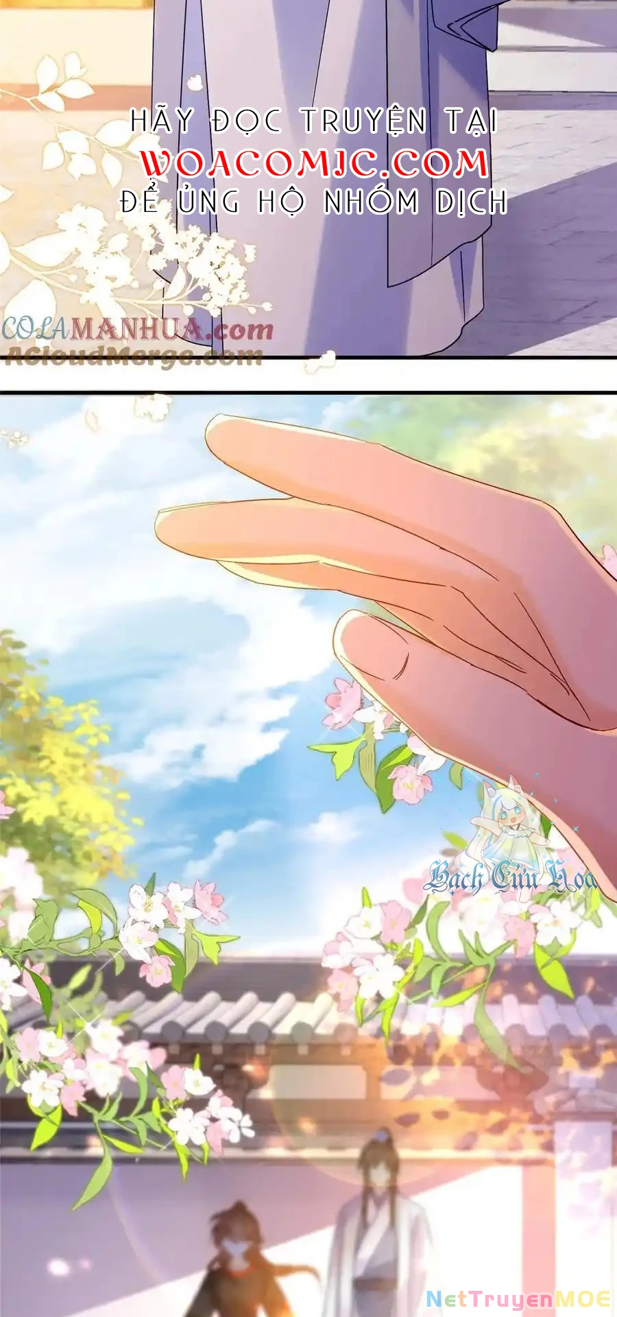 Thiều Quang Mạn Chapter 160 - Trang 4