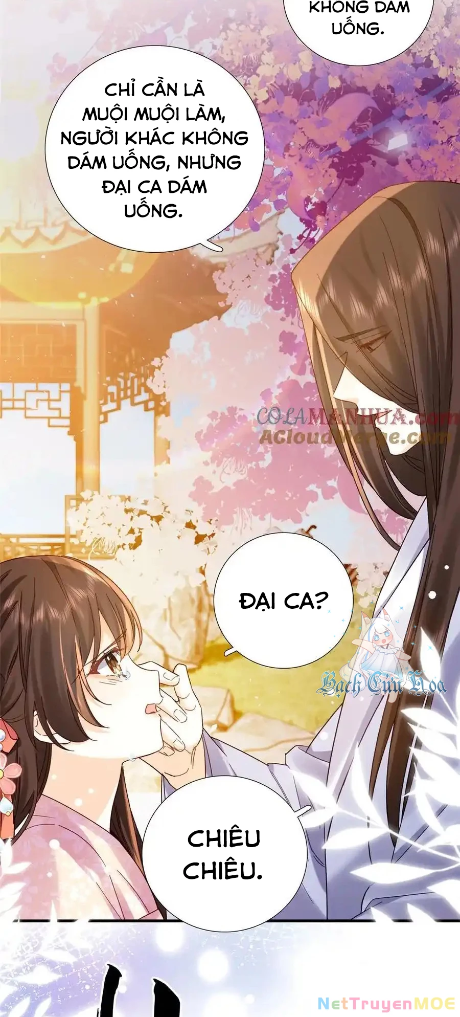 Thiều Quang Mạn Chapter 161 - Trang 4
