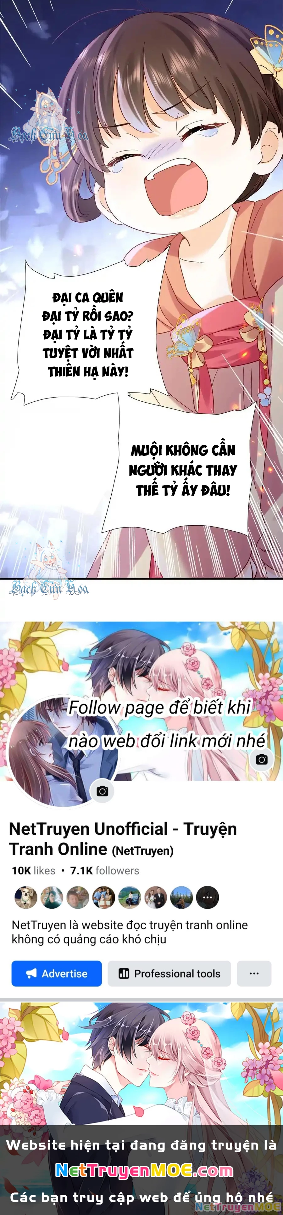 Thiều Quang Mạn Chapter 161 - Trang 4