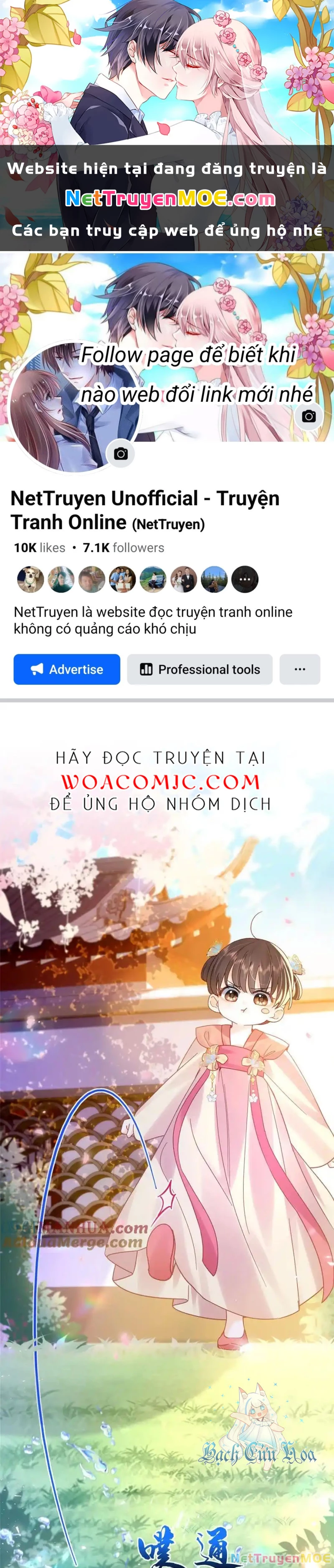 Thiều Quang Mạn Chapter 162 - Trang 4