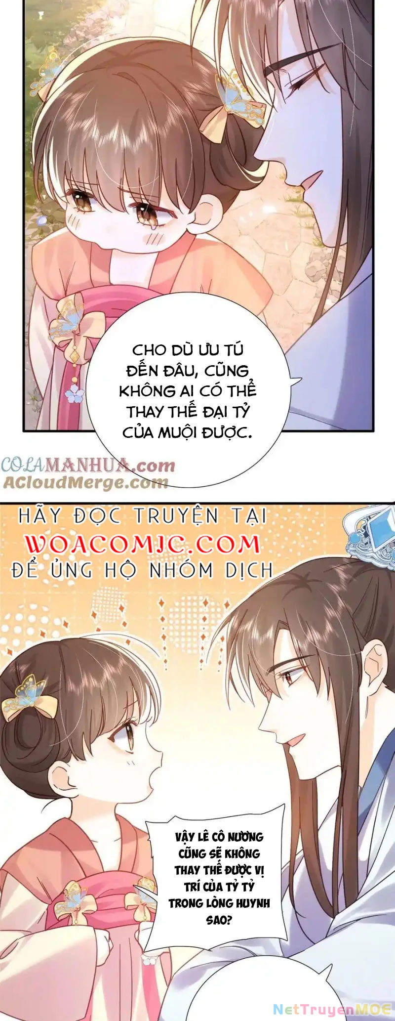 Thiều Quang Mạn Chapter 162 - Trang 4