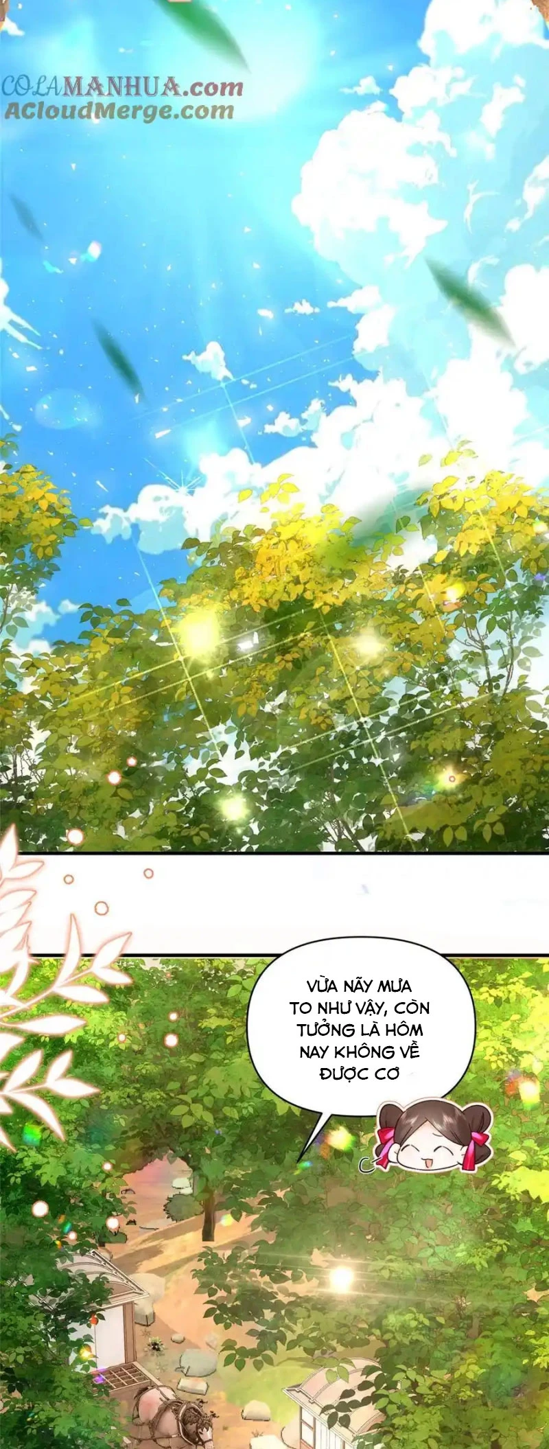 Thiều Quang Mạn Chapter 162 - Trang 4