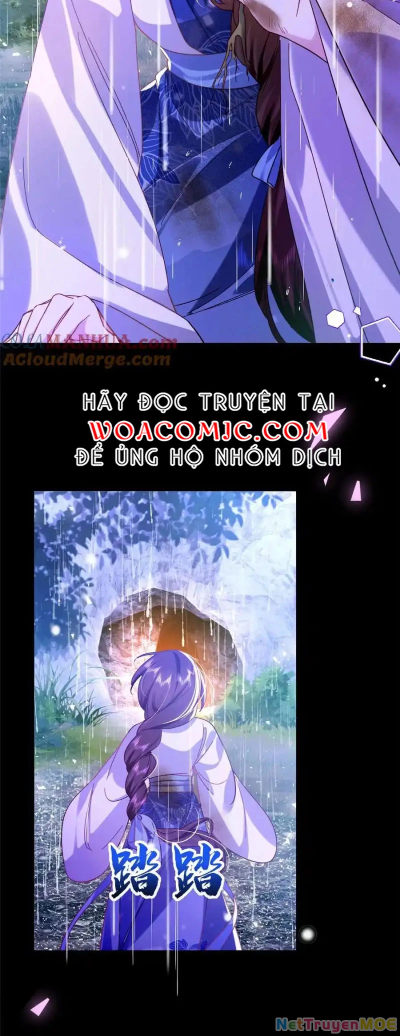 Thiều Quang Mạn Chapter 163 - Trang 4