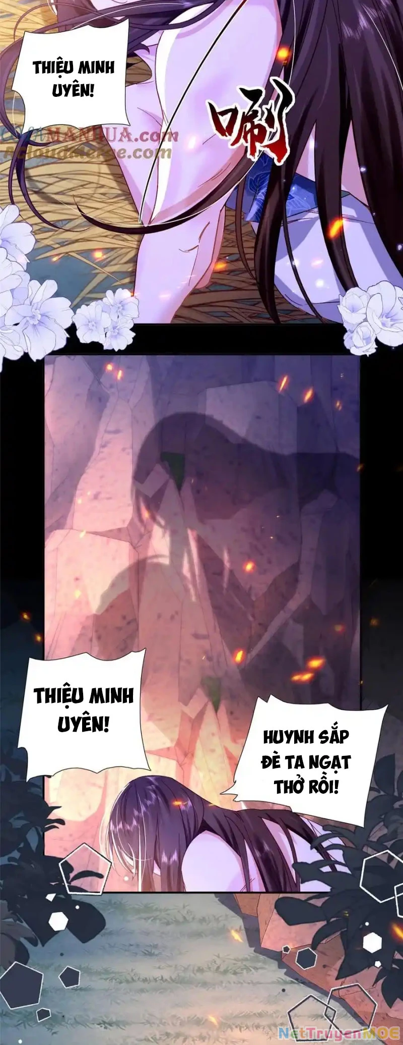 Thiều Quang Mạn Chapter 163 - Trang 4