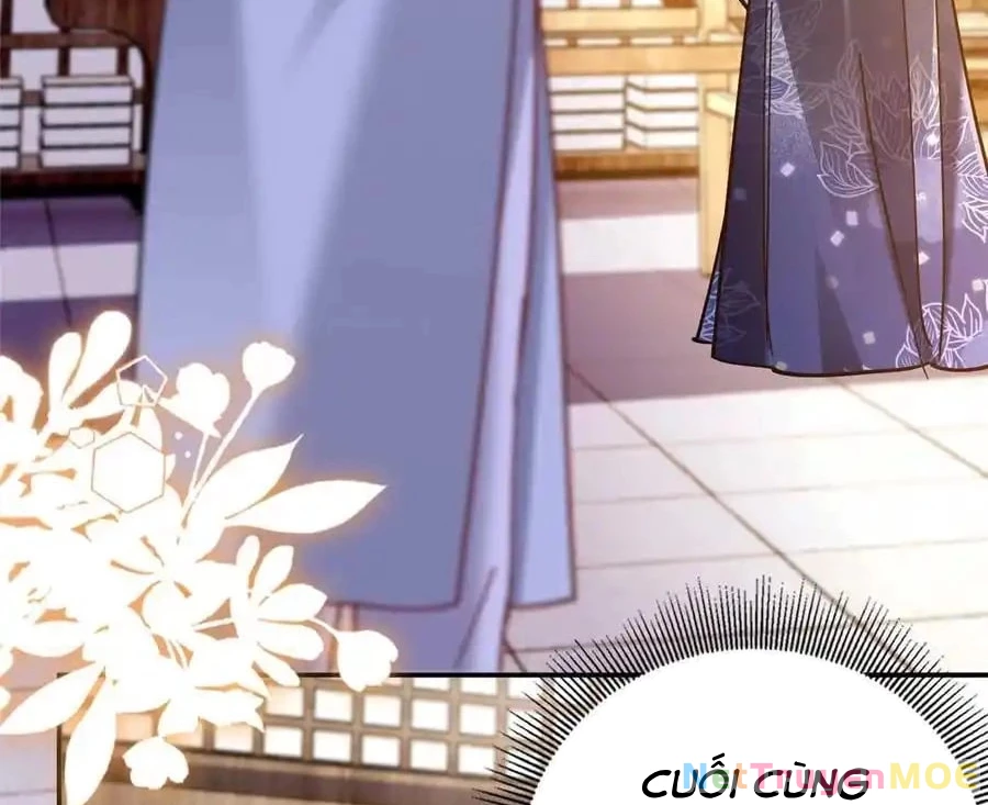 Thiều Quang Mạn Chapter 167 - Trang 4