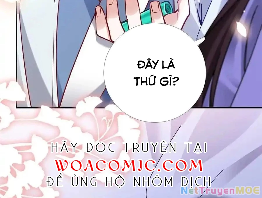 Thiều Quang Mạn Chapter 167 - Trang 4