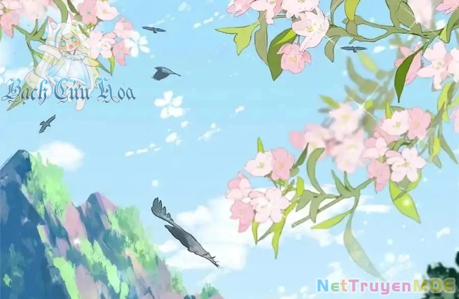 Thiều Quang Mạn Chapter 167 - Trang 4