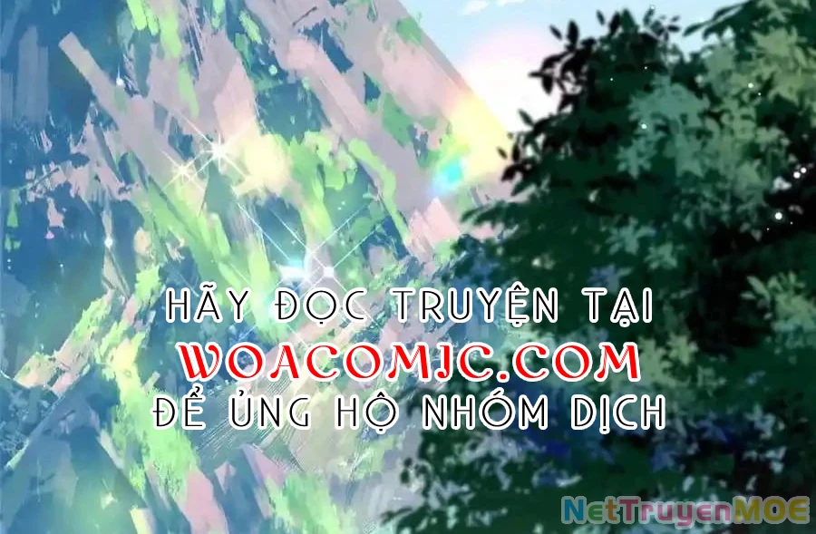 Thiều Quang Mạn Chapter 167 - Trang 4