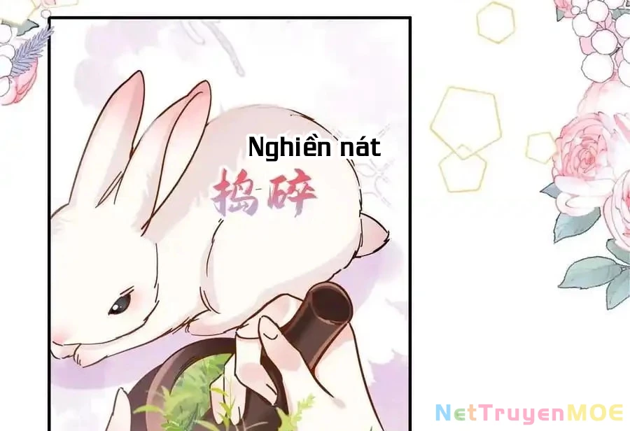 Thiều Quang Mạn Chapter 167 - Trang 4